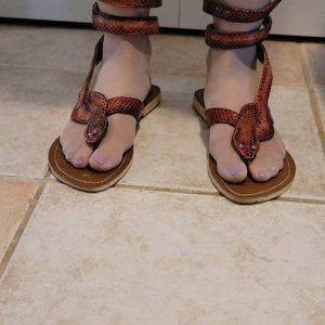 snake, flip-flop, sandals